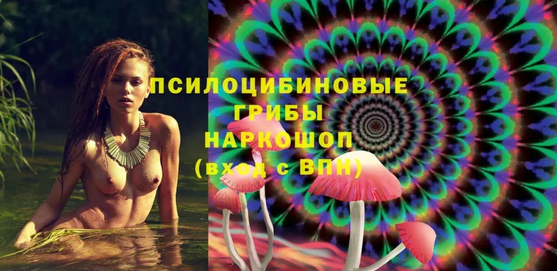 цена   omg вход  Псилоцибиновые грибы Psilocybe  Нягань 